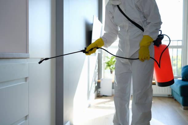 Best Mold Remediation for Schools in Pioneer Village, KY